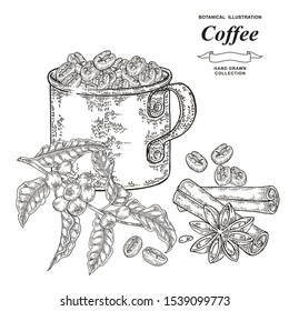 Coffee grains in rustic mug. Hand drawn coffee branch with leaves and berries. Vector illustration vintage. Black and white engraving style.
