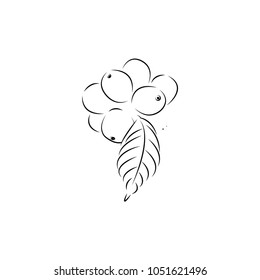 coffee graphic design template