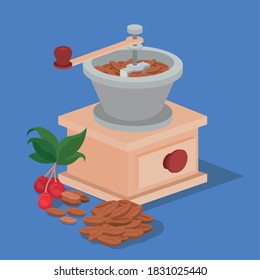 coffee grinder beans berries and leaves design of drink caffeine breakfast and beverage theme Vector illustration