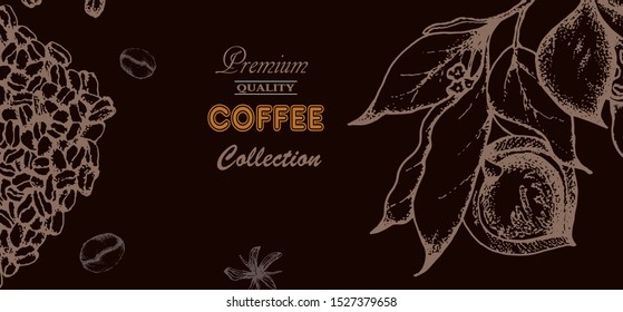 Coffee illustration. Hand drawn vector banner. Coffee beans, leaves, branch,