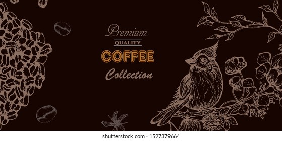 Coffee illustration. Hand drawn vector banner. Coffee beans, leaves, branch, bird