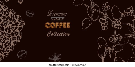 Coffee illustration. Hand drawn vector banner. Coffee beans, leaves, branch,
