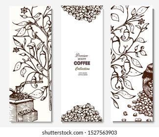 Coffee illustration. Hand drawn vector banner. Coffee beans, leaves, branch,