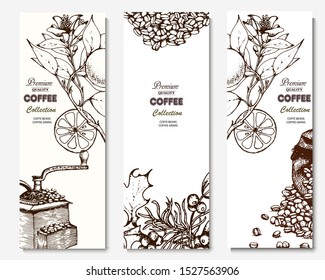 Coffee illustration. Hand drawn vector banner. Coffee beans, leaves, branch, orange,