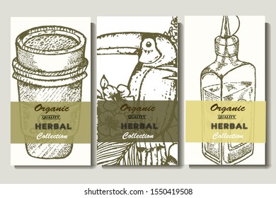 Coffee illustration. Hand drawn vector banner. Coffee beans, cups, bird.