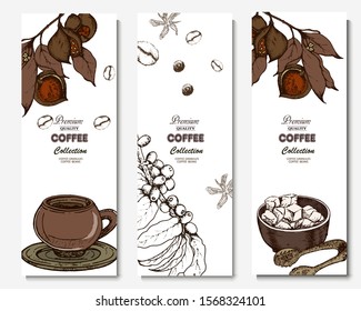 Coffee illustration. Hand drawn vector banner. Coffee beans, flower, machine, branch, sugar