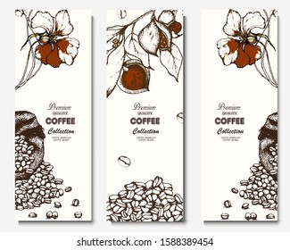 Coffee illustration. Hand drawn vector banner. Coffee beans, branch, flower