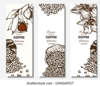 Coffee illustration. Hand drawn vector banner. Coffee beans, branch, flowers, Menu