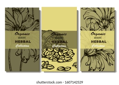 Coffee illustration. Hand drawn vector banner. Coffee beans, flower, bag