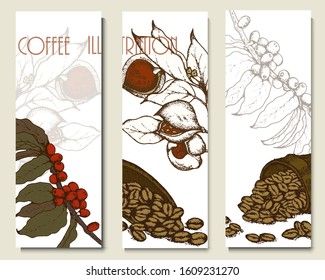 Coffee illustration. Hand drawn vector banner. Coffee beans, dessert, bag, flowers