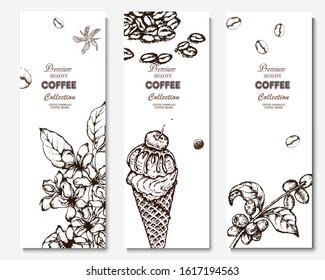 Coffee illustration. Hand drawn vector banner. Coffee beans, dessert, flower, branch