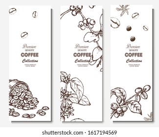 Coffee illustration. Hand drawn vector banner. Coffee beans, dessert, branch