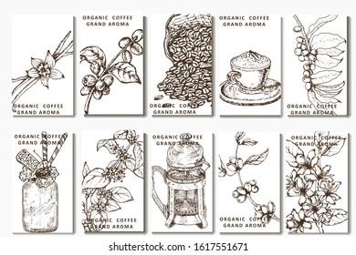 Coffee illustration. Hand drawn vector banner. Coffee beans,  bag, branch, cup, teapot
