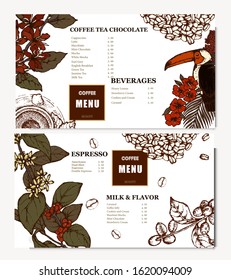Coffee illustration. Hand drawn vector banner. Coffee beans, bird, cup. Menu
