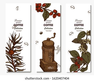 Coffee illustration. Hand drawn vector banner. Coffee beans, flower, branch, coffee maker,  teapot