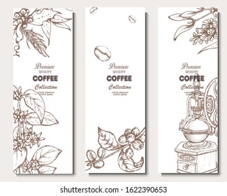 Coffee illustration. Hand drawn vector banner. Coffee beans, flower, branch, coffee maker