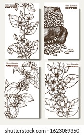 Coffee illustration. Hand drawn vector banner. Coffee beans,  bag, branch