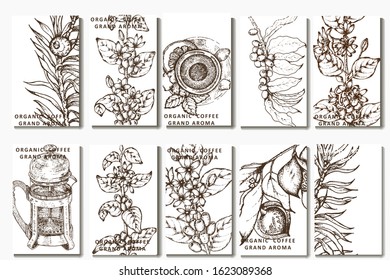 Coffee illustration. Hand drawn vector banner. Coffee beans,  bag, branch, cup