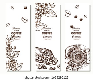 Coffee illustration. Hand drawn vector banner. Coffee beans, flower, branch, bag
