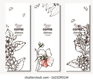 Coffee illustration. Hand drawn vector banner. Coffee beans, flower, branch