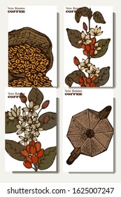 Coffee illustration. Hand drawn vector banner. Coffee beans, teapot, branch, bag