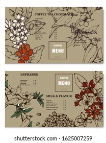 Coffee illustration. Hand drawn vector banner. Coffee beans, flower, birds, branch. Menu