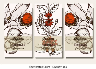 Coffee illustration. Hand drawn vector banner. Flowers, branch
