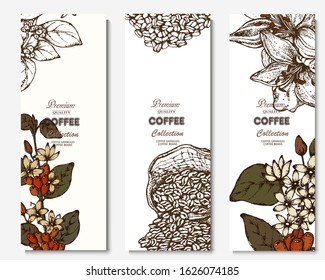 Coffee illustration. Hand drawn vector banner. Coffee beans, teapot, branch, bag