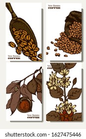 Coffee illustration. Hand drawn vector banner. Coffee beans,  branch, bag