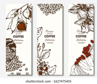 Coffee illustration. Hand drawn vector banner. Coffee beans, branch, flowers