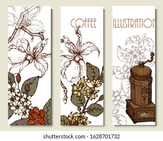 Coffee illustration. Hand drawn vector banner. Coffee beans, coffee maker, branch
