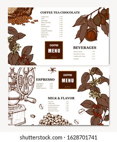 Coffee illustration. Hand drawn vector banner. Coffee beans, flower, branch, bag. Menu. 