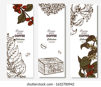 Coffee illustration. Hand drawn vector banner. Coffee beans, branch, box