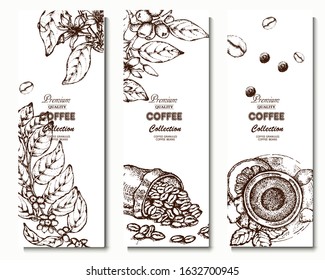 Coffee illustration. Hand drawn vector banner. Coffee beans, branch, bag, tea