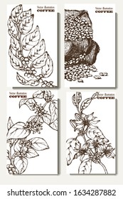 Coffee illustration. Hand drawn vector banner. Coffee beans, branch, bag