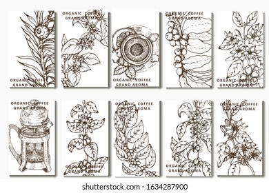 Coffee illustration. Hand drawn vector banner. Coffee beans, branch, tea, teapot