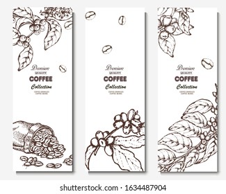 Coffee illustration. Hand drawn vector banner. Coffee beans, branch, bag