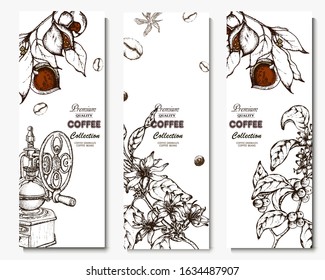 Coffee illustration. Hand drawn vector banner. Coffee beans, branch