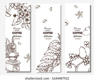 Coffee illustration. Hand drawn vector banner. Coffee beans, branch
