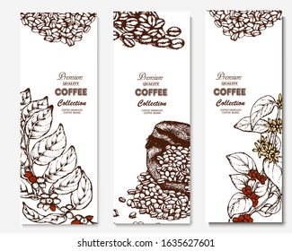Coffee illustration. Hand drawn vector banner. Coffee beans, branch, bag