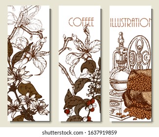 Coffee illustration. Hand drawn vector banner. Coffee beans, branch, bag