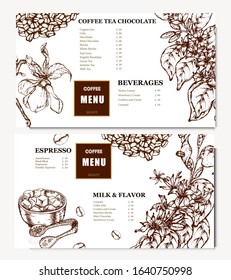Coffee illustration. Hand drawn vector banner. Coffee beans, flower, branch. Menu. 