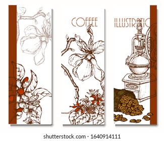 Coffee illustration. Hand drawn vector banner. Coffee maker and beans, branch, flowers, bag