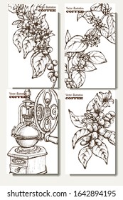 Coffee illustration. Hand drawn vector banner. Coffee maker, beans, branch, flowers