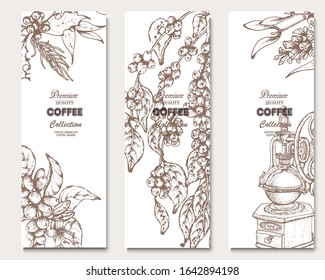 Coffee illustration. Hand drawn vector banner. Coffee maker, beans, branch, flowers