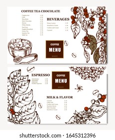 Ilustración del café. Banner vector dibujado a mano. Granos de café, flor, rama, azúcar. Menú. 