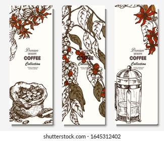 Coffee illustration. Hand drawn vector banner. Coffee bag, beans, branch, flowers, teapot