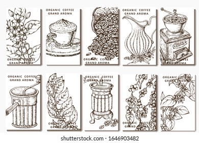 Coffee illustration. Hand drawn vector banner. Coffee maker, beans, branch, flowers, bag, cup