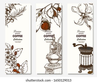 Coffee illustration. Hand drawn vector banner. Coffee maker, beans, branch, flowers