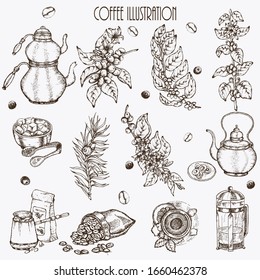 Coffee illustration. Hand drawn vector banner. Coffee maker, beans, flower, branch, teapot, bag. Menu. 